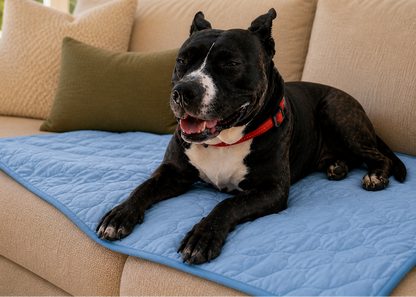 Tapis respirant CalmDog™  AiR